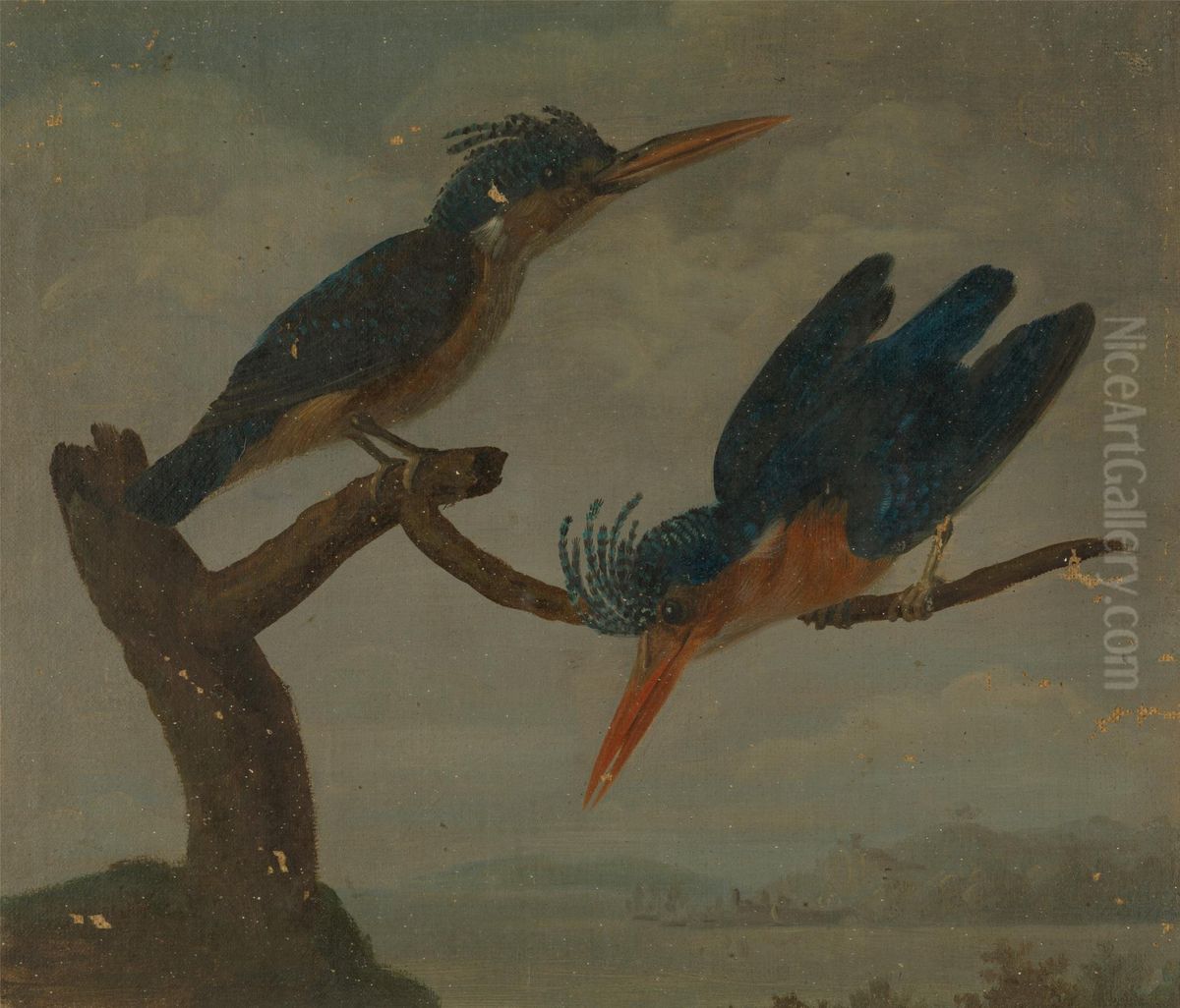 Two Kingfishers beside a Lake Oil Painting by James Sowerby