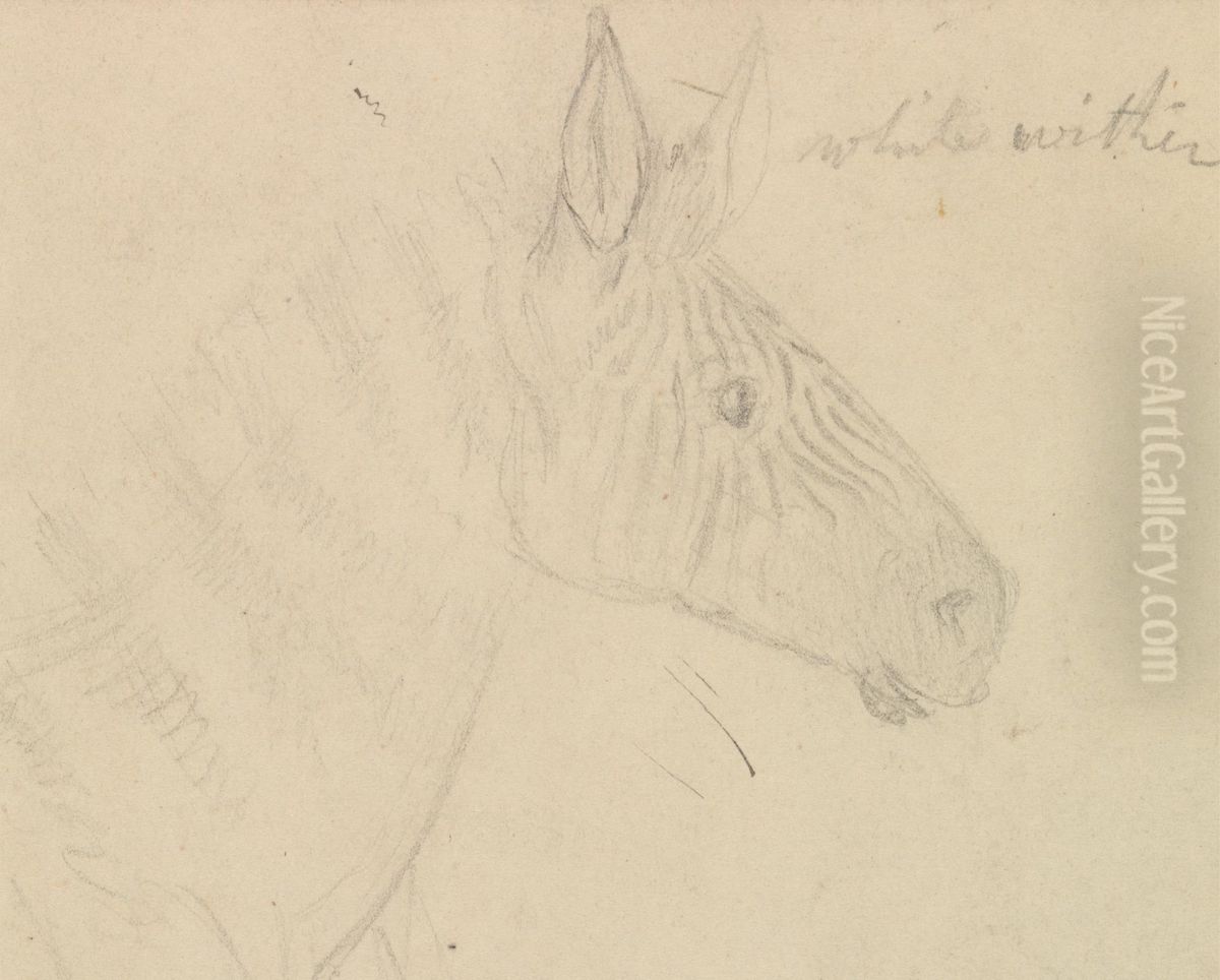 Zebra Oil Painting by James De Carle Sowerby