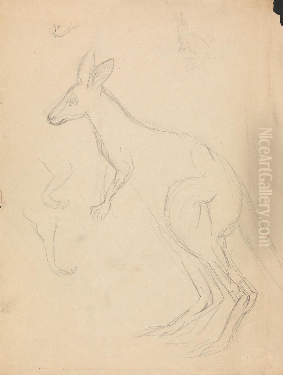 Two kangaroos with details Oil Painting by James Sowerby