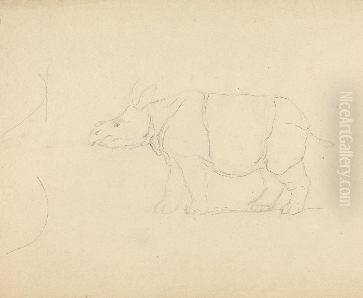 A Rhinoceros Oil Painting by James Sowerby