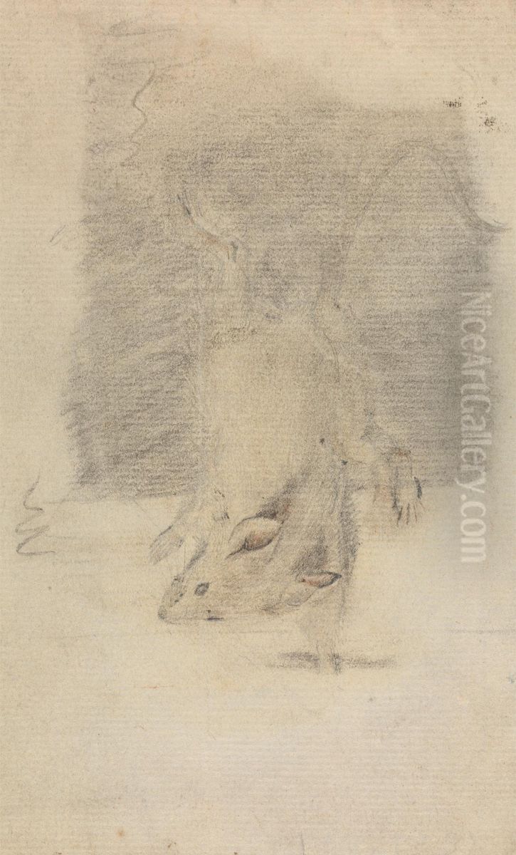 A Mouse Oil Painting by James Sowerby