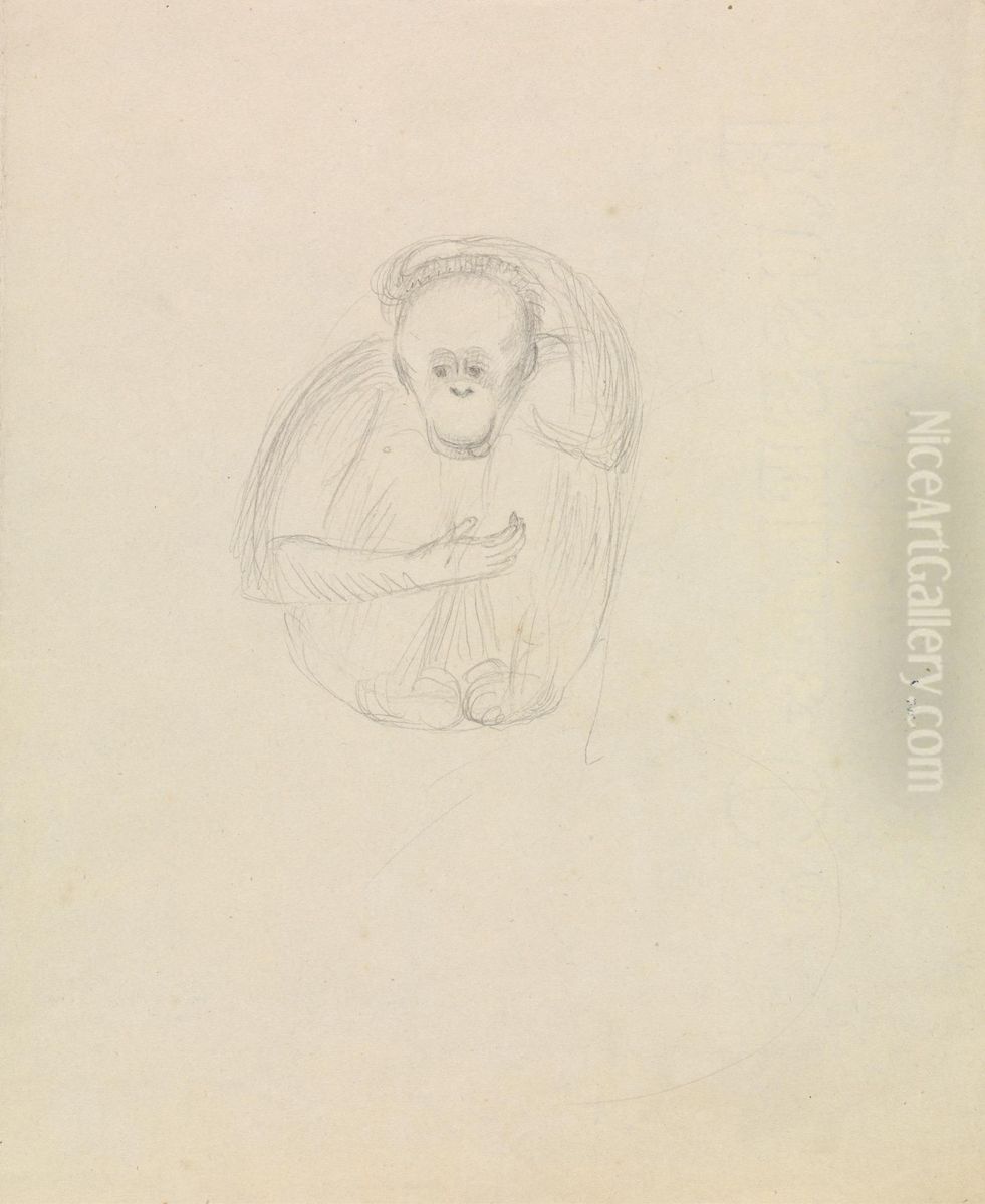 A Chimpanzee? Oil Painting by James Sowerby