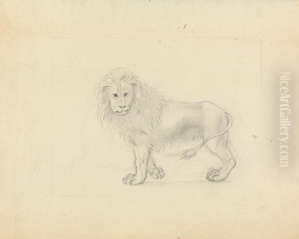 A Lion Oil Painting by James Sowerby