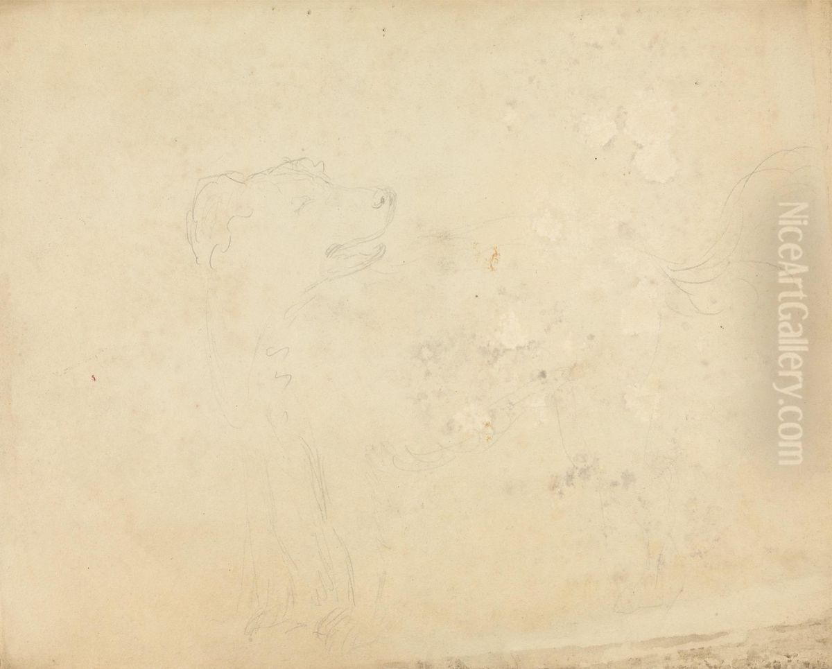 Slight sketch of a dog Oil Painting by James Sowerby