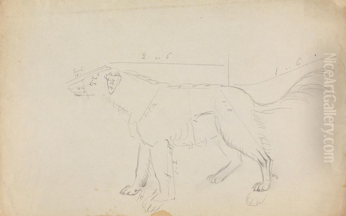 A Dog (marked with measurements) Oil Painting by James Sowerby