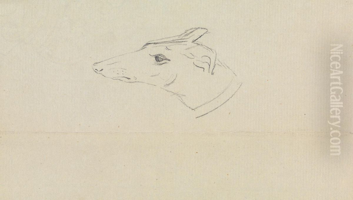 A Dog's Head Oil Painting by James Sowerby