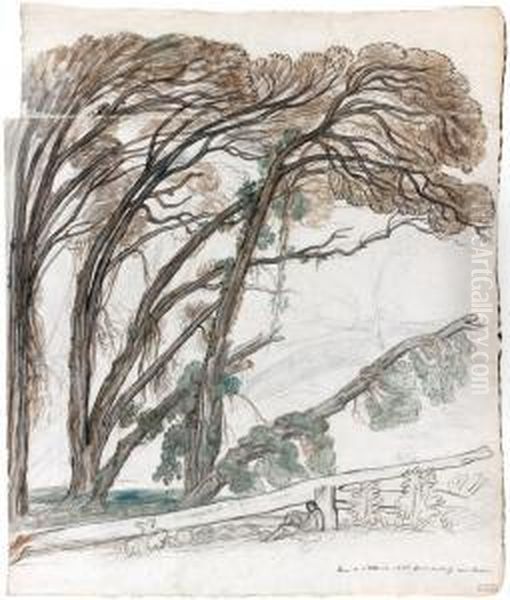 Parc A Ariccia Oil Painting by Nicolas Louis Cabat