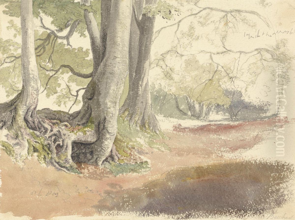 Beech Trees Oil Painting by Robert Hills