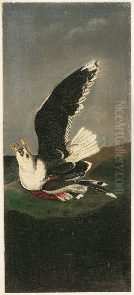 Great Black-backed Gull, after Audubon Oil Painting by William Stanley Haseltine