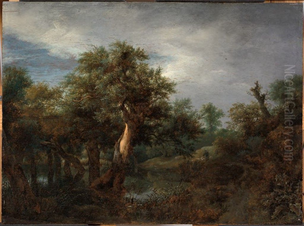 Wooded Landscape with an Old Oak Oil Painting by Jacob Van Ruisdael