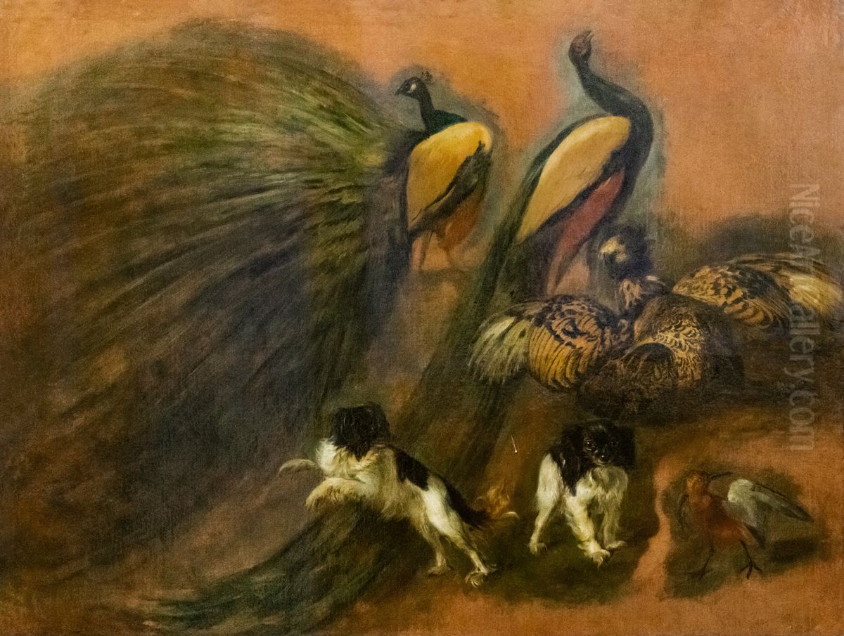 Paons, chiens et oiseaux Oil Painting by Pieter Boel