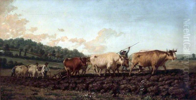 Ploughing in the Nivernais, France Oil Painting by Rosa Bonheur
