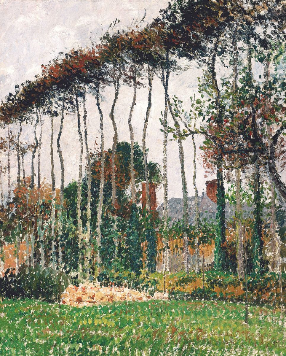 Die grossen Rotbuchen in Varengeville Oil Painting by Camille Pissarro