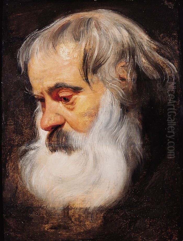 Portrait of an Elderly Man Oil Painting by (studio of) Rubens, Peter Paul
