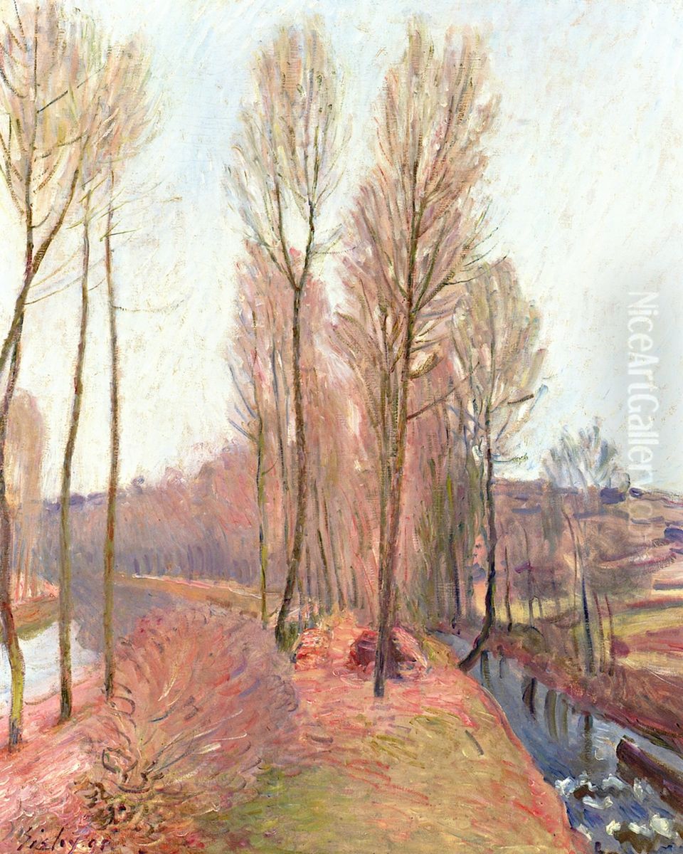 Die Orvanne und der Loing-Kanal im Winter Oil Painting by Alfred Sisley