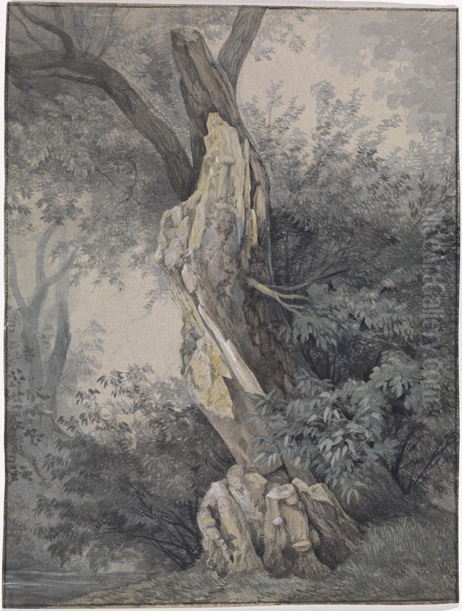 Forest Interior Oil Painting by Carl Gustav Carus