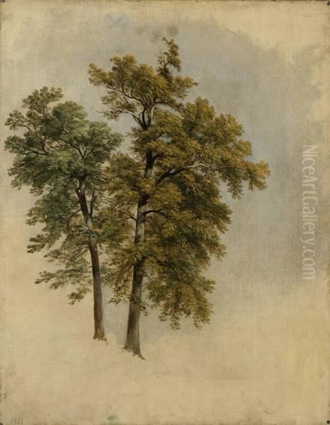 Two Trees Oil Painting by Asher Brown Durand