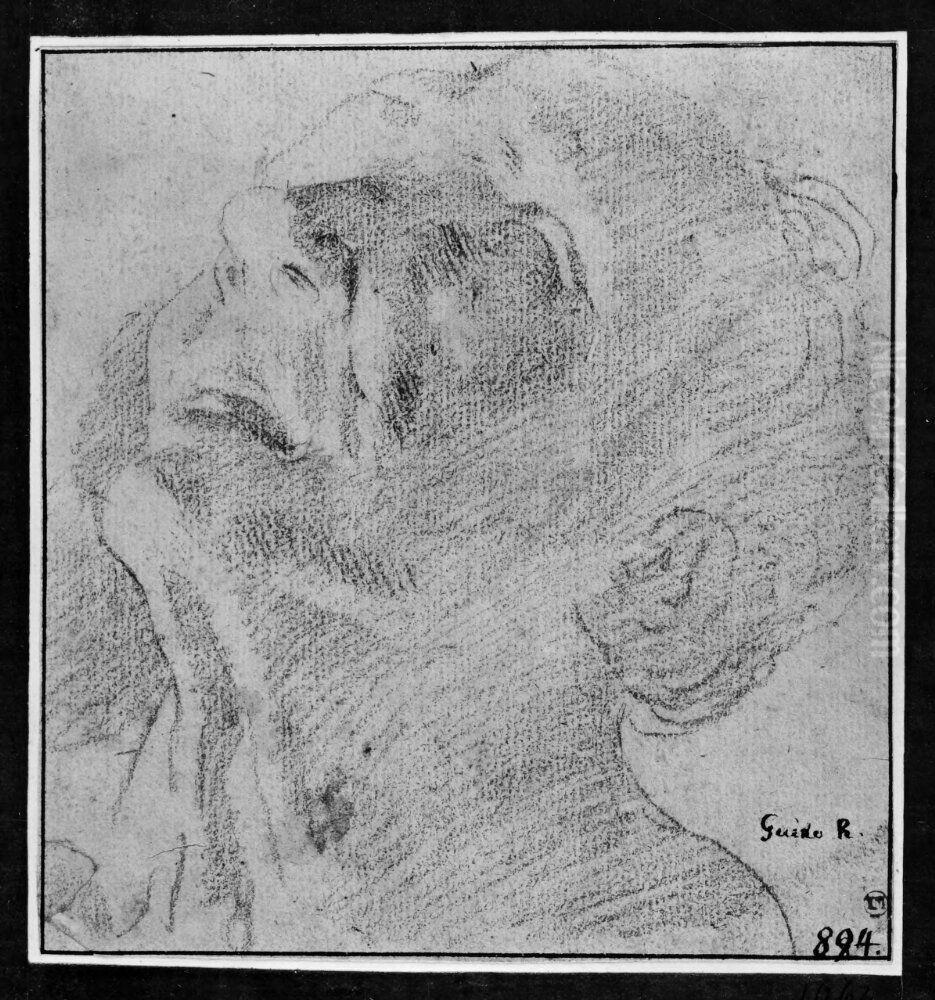 Head of a man, looking up Oil Painting by Giuseppe Maria Mitelli