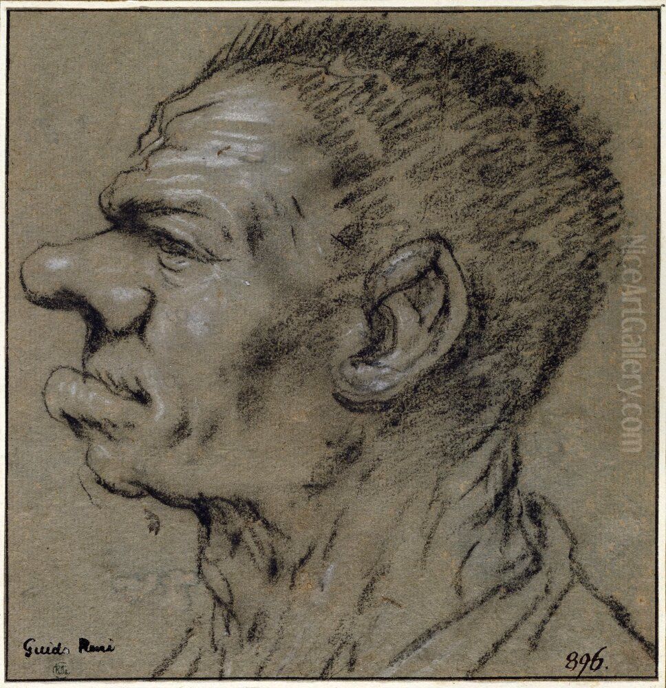 Caricatured Head of a Man, Profile Left Oil Painting by Giovanni Francesco Barbieri