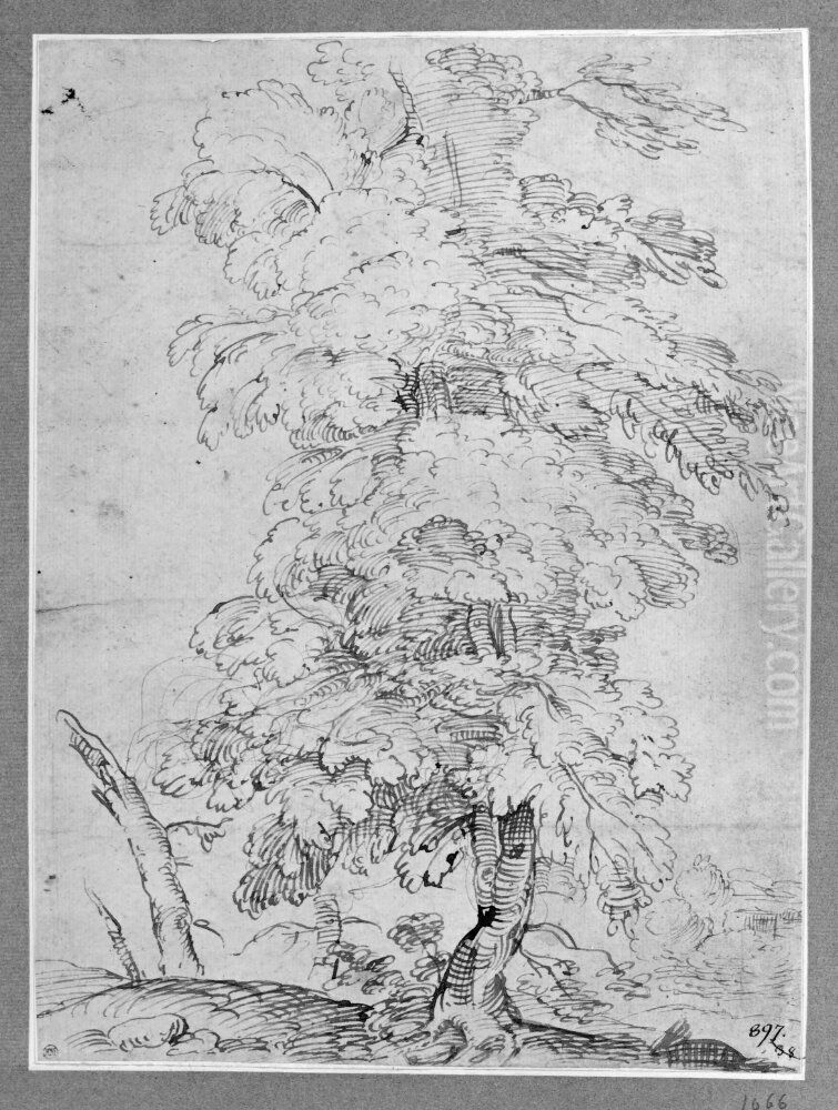 Tree Oil Painting by Agostino Carracci