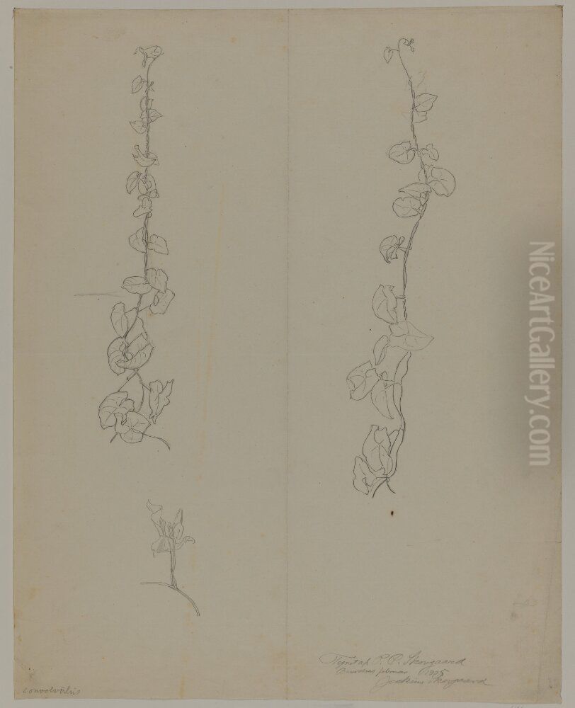 Convolvulus-rankor Oil Painting by P. C. Skovgaard