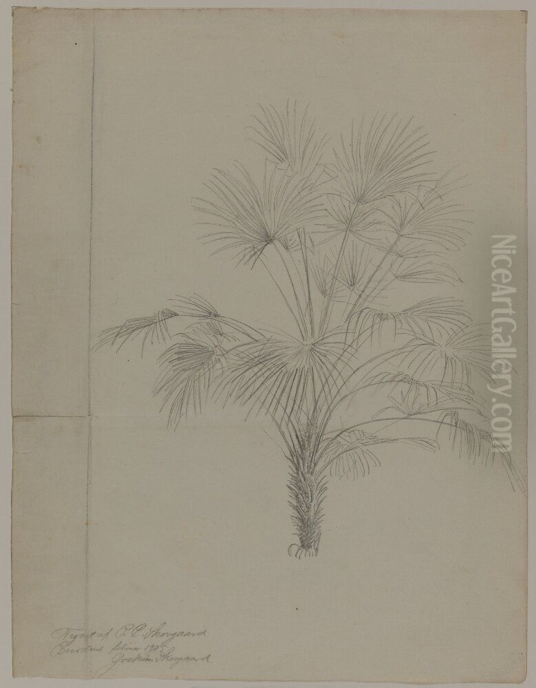 Solfjaderspalm Oil Painting by P. C. Skovgaard