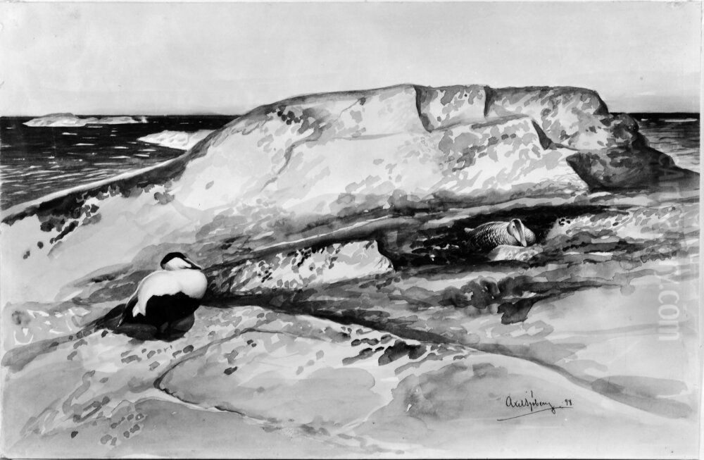 Ejdrar pa kobbe Oil Painting by Axel Sjoberg