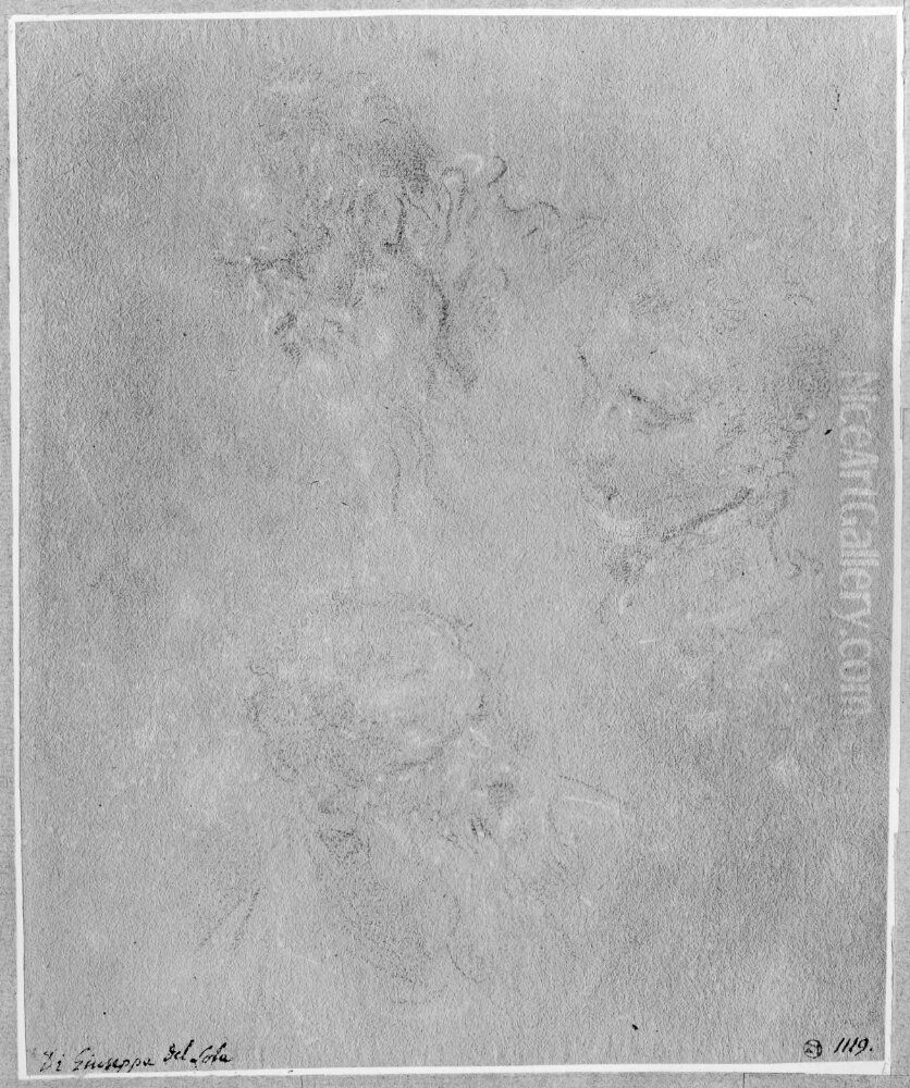 Study of three male heads Oil Painting by Donato Creti