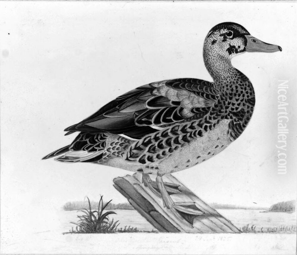 Grasand, hane Oil Painting by Ferdinand von Wright