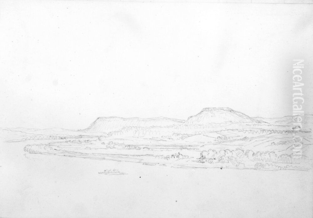 Skissbok. Tradstudier. De flesta bladen tomma Oil Painting by Carl Johan Fahlcrantz