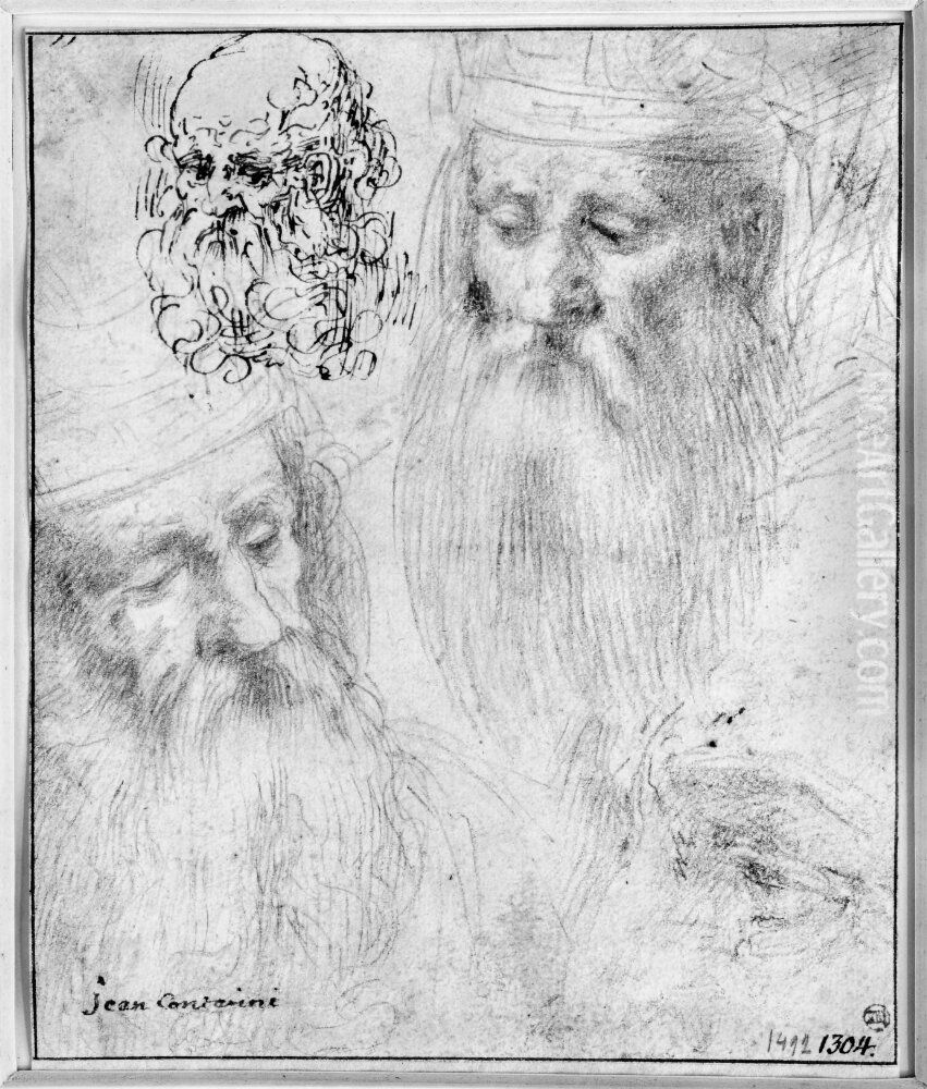 Three Studies of Old Men's Heads Oil Painting by Giovanni Contarini