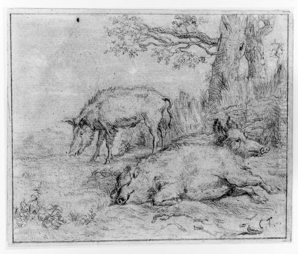 Vildsvin Oil Painting by Constant Troyon