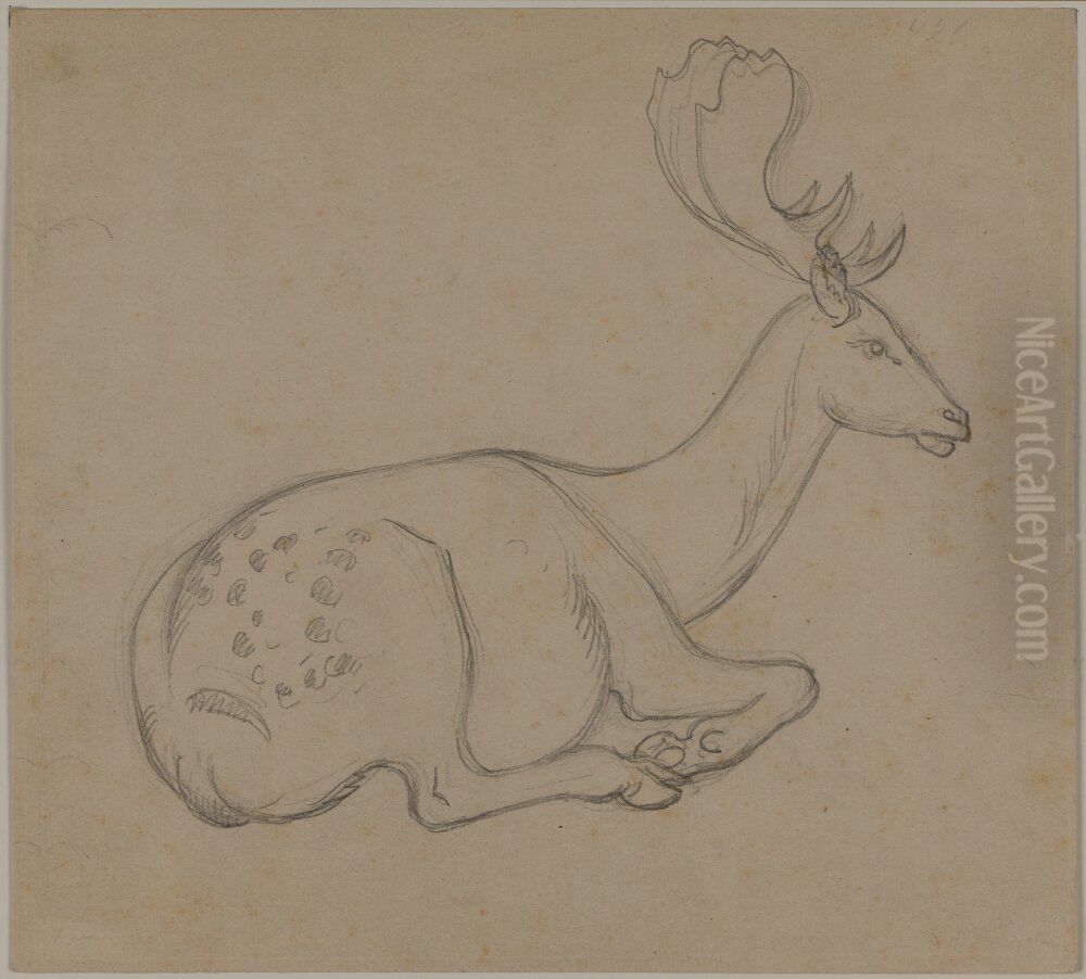 Liggande hjort Oil Painting by Constantin Hansen