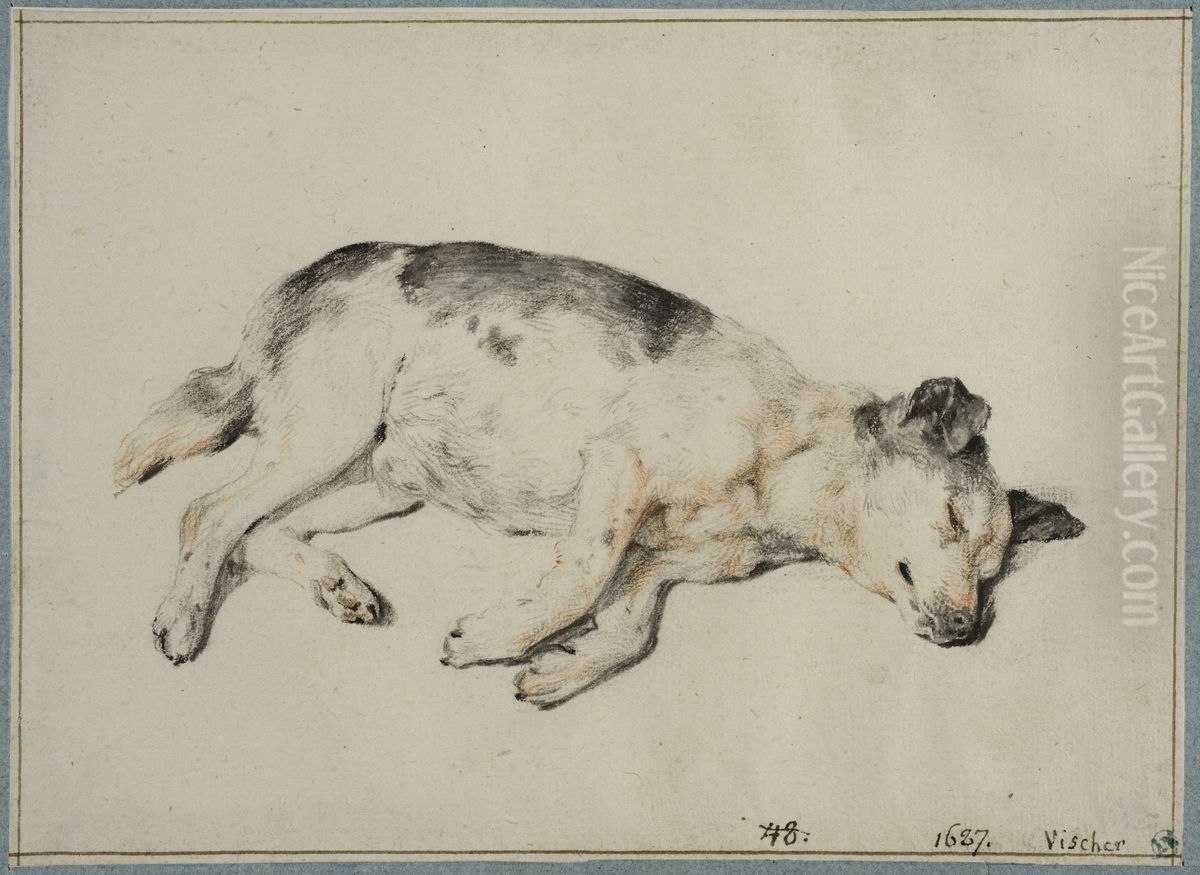 Sovande hund Oil Painting by Cornelis Ii Visscher