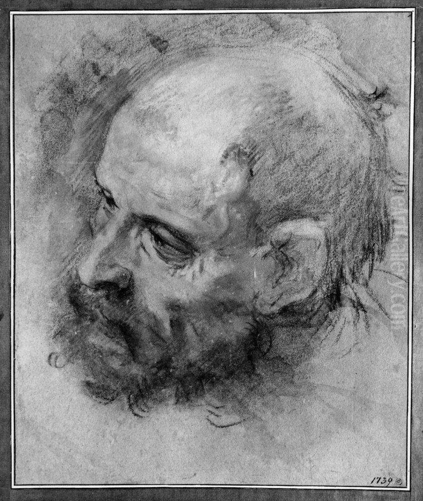 Head of a Bearded Man Turned to the Left and Inclined to the Side Oil Painting by Federico Barocci