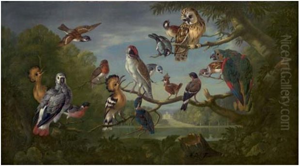 =A Concert of Birds Oil Painting by Pieter Casteels III