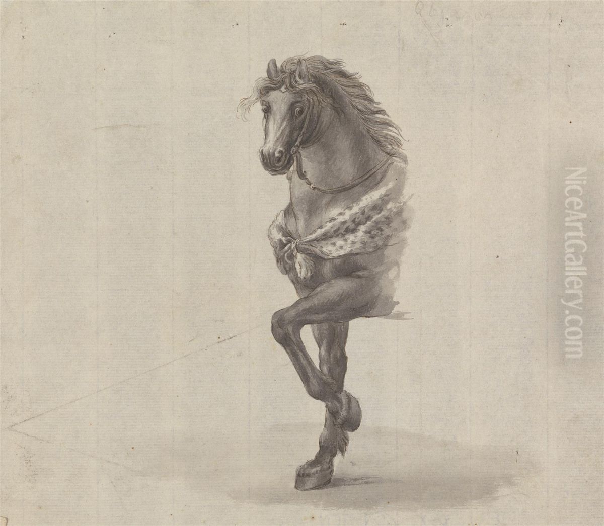 Study of the Front of a Horse Oil Painting by James Bruce