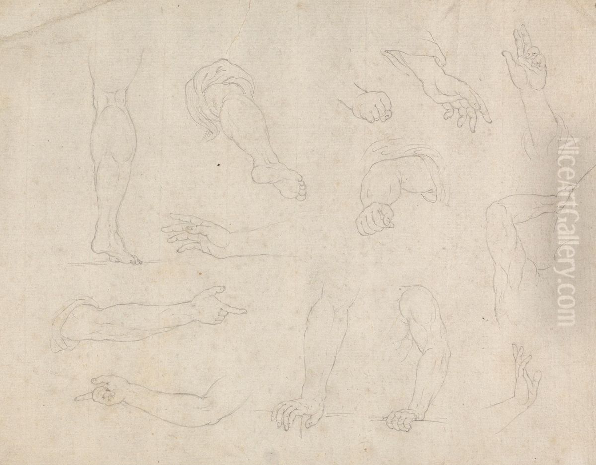 Studies of Legs, Arms and Hands Oil Painting by James Bruce