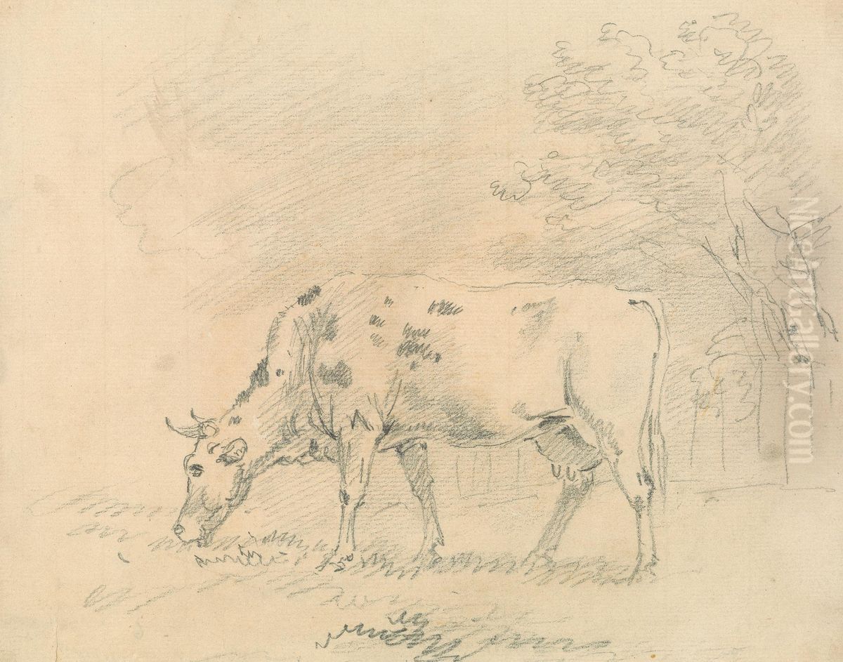 Cow Grazing Oil Painting by Sawrey Gilpin