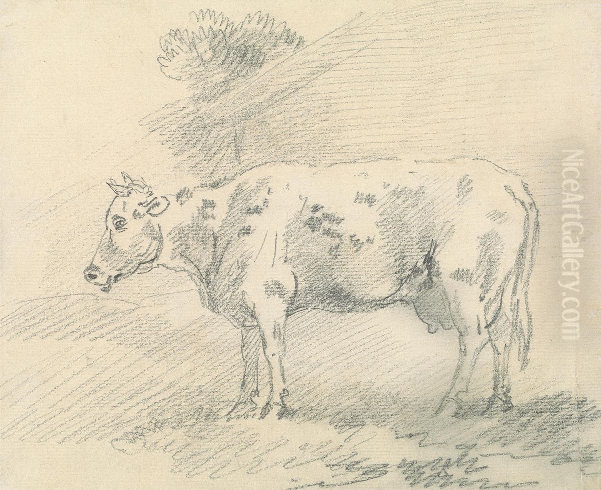 Cow Oil Painting by Sawrey Gilpin