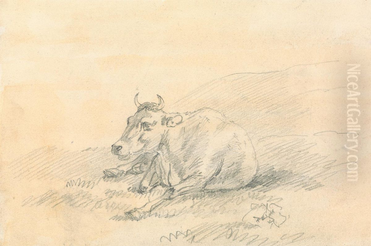 Cow Lying Down Oil Painting by Sawrey Gilpin