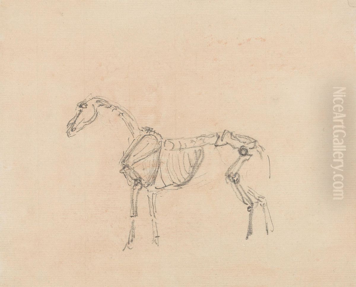 Horse Skeleton Oil Painting by Sawrey Gilpin