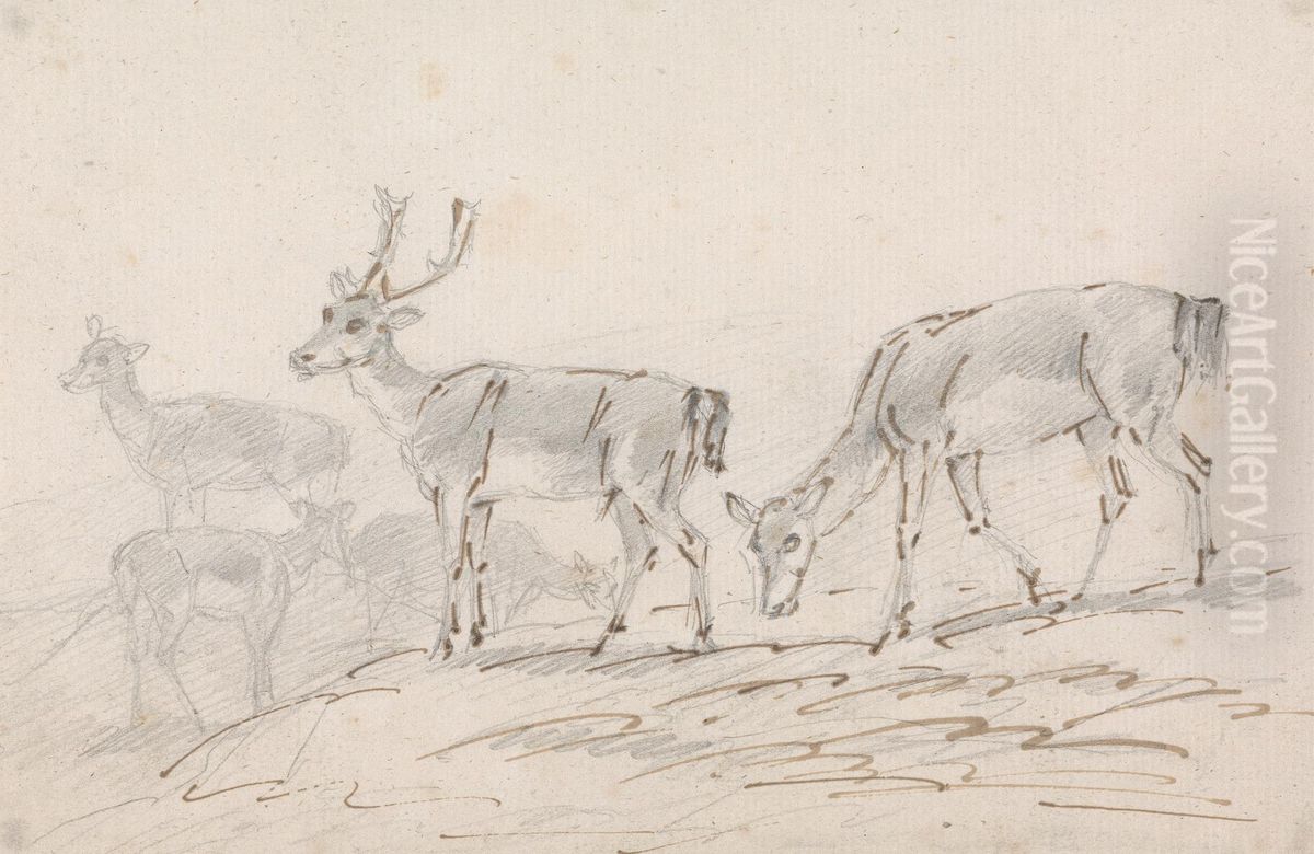 Five Deer Oil Painting by Sawrey Gilpin