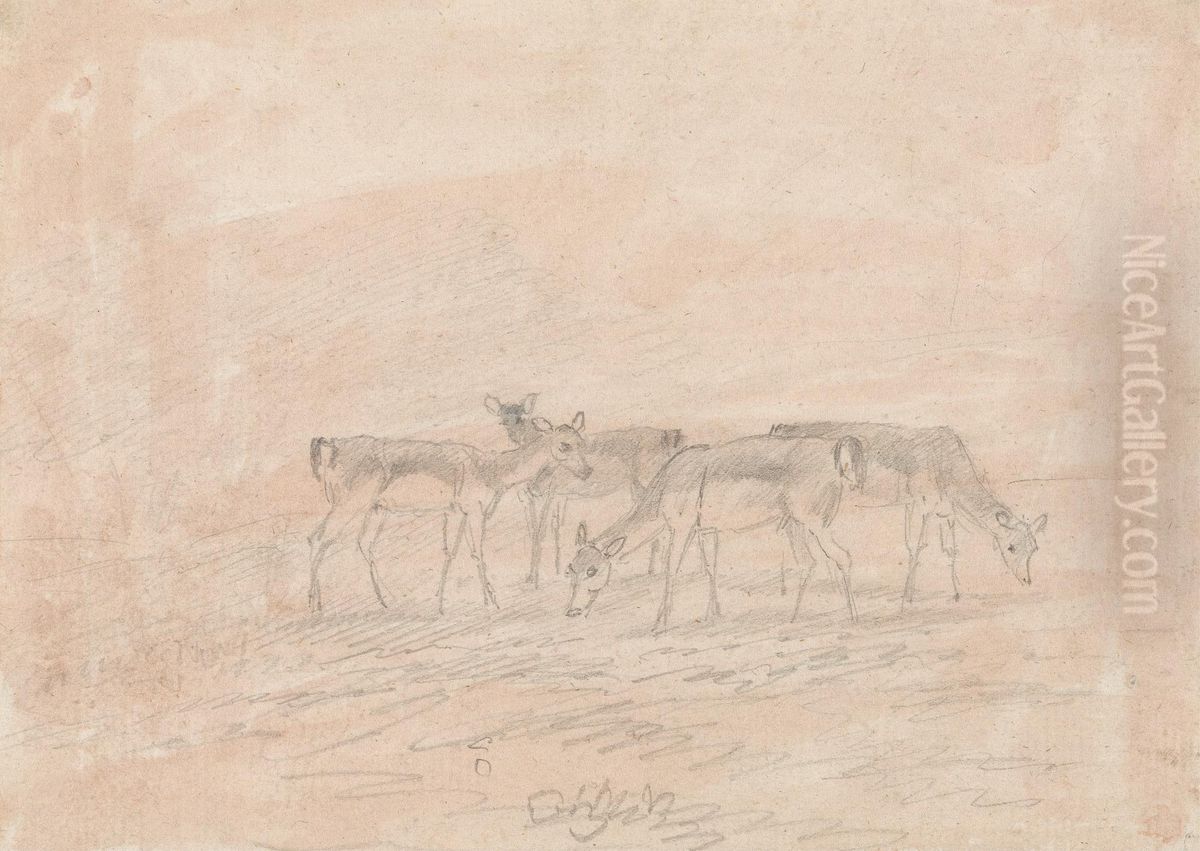 Four Deer Oil Painting by Sawrey Gilpin