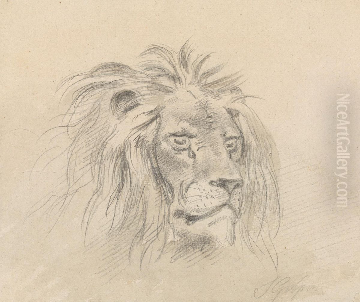 Head of a Lion Oil Painting by Sawrey Gilpin