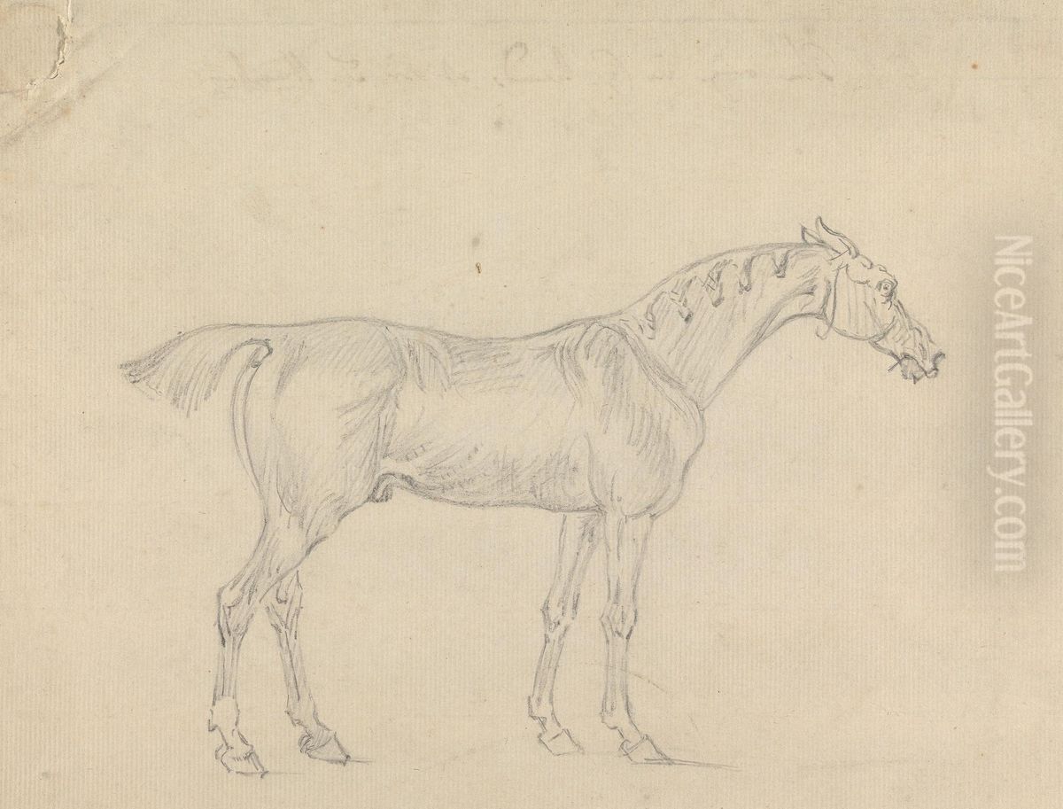 A Horse Oil Painting by Sawrey Gilpin