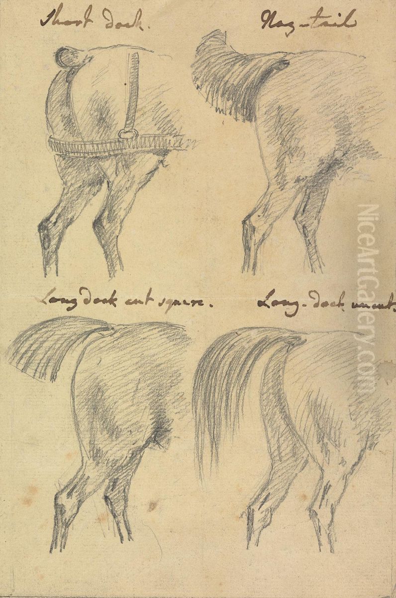Four Sketches of Horse Tails Oil Painting by Sawrey Gilpin