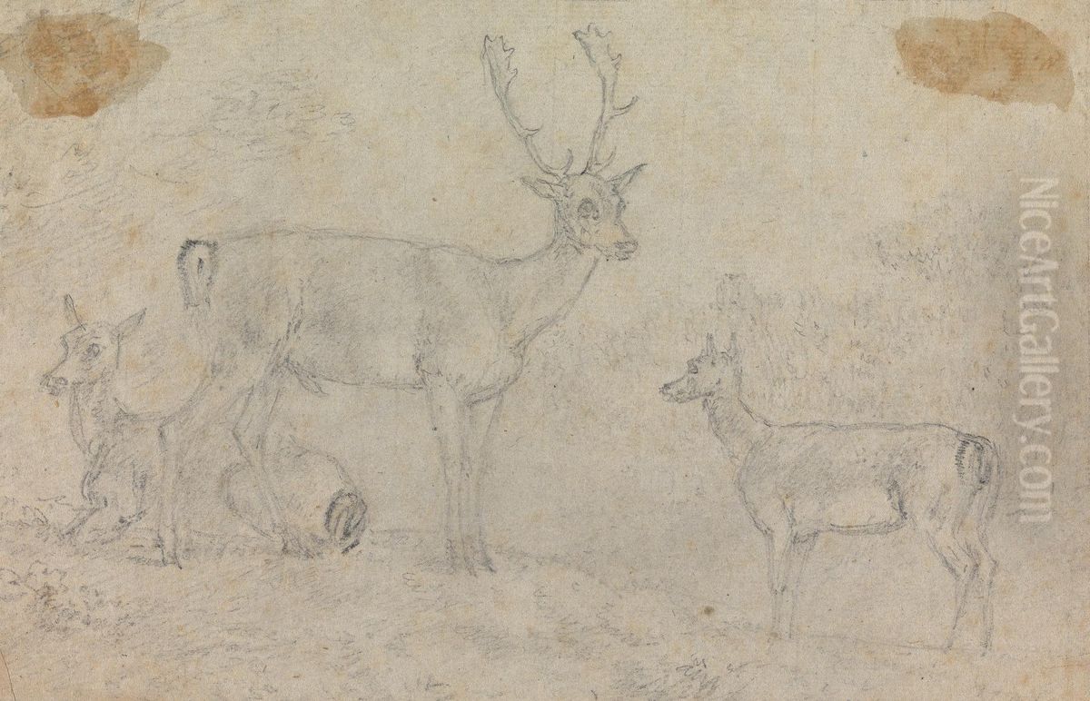 A Buck and Two Deer Oil Painting by Sawrey Gilpin