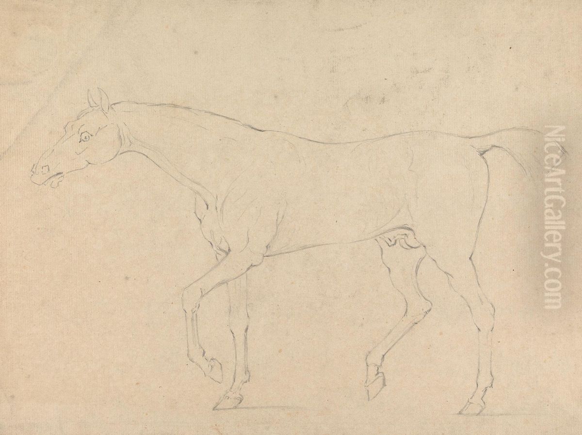 A Horse Oil Painting by Sawrey Gilpin