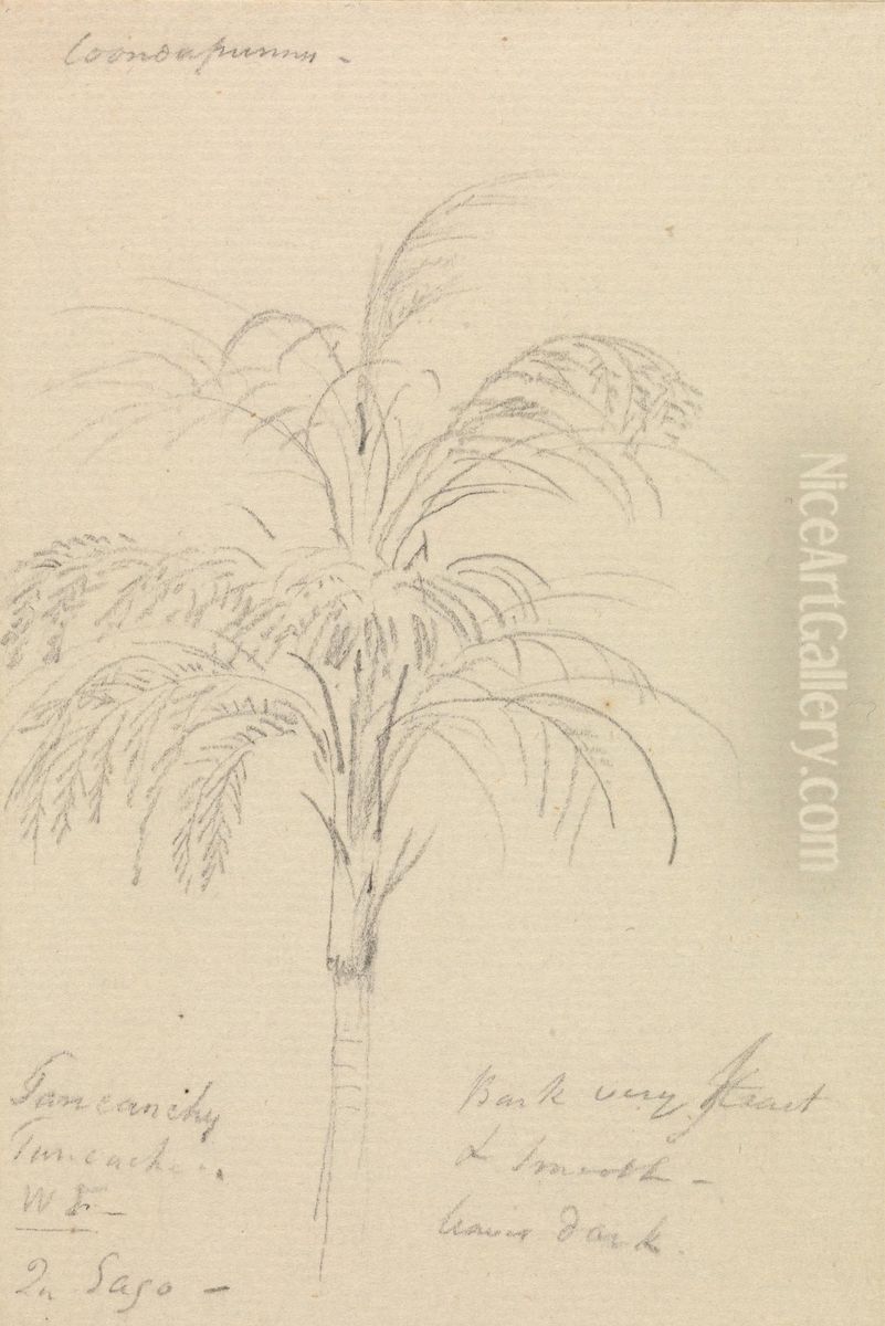 Tree Sketch Oil Painting by Thomas Daniell